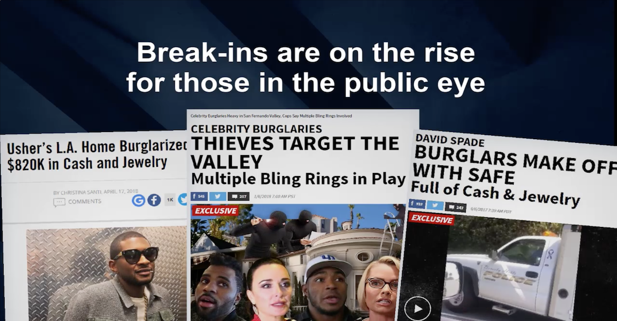 Security Consulting for Celebrities and Public Figures
