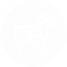 Protection Dogs